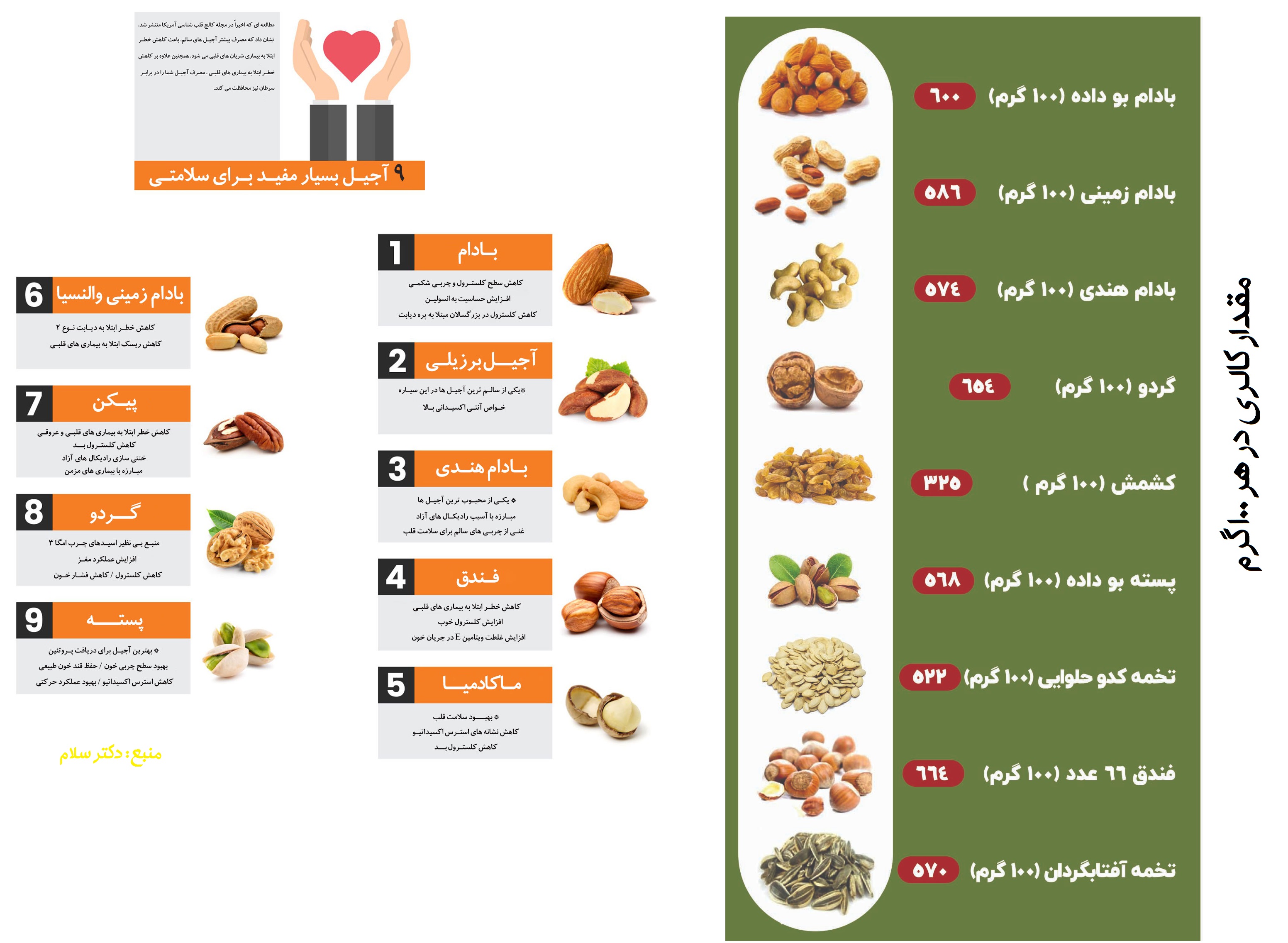 مقدار کالری انواع آجیل و مغزیجات خوراکی در 100 گرم