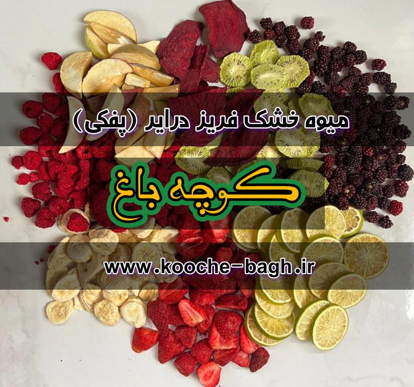 میوه خشک انجمادی ( فریز درایر پفکی ) / عمده فروشی کوچه باغ تبریز