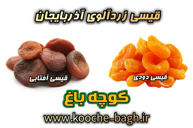 عمده فروشی قیسی آفتابی و دودی گوگردی در تبریز به قیمت