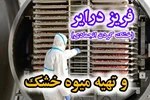 فریز درایر (خشک‌کن انجمادی) چیست و چه کاربردی در تهیه میوه خشک دارد؟