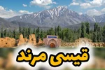 قیسی مرند: طلای زرد در دل آذربایجان